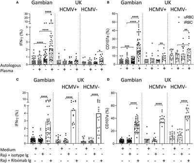 Differential IL-18 Dependence of Canonical and Adaptive NK Cells for Antibody Dependent Responses to P. falciparum